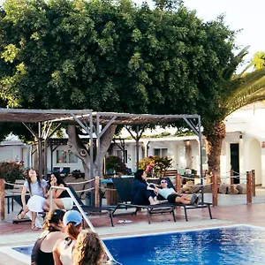 The Tree House Tenerife Hostal