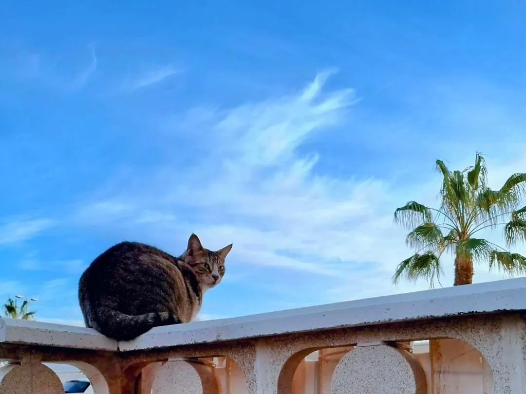 Pensión Habitacion Doble Con Bano Y Terraza Privada El Médano España